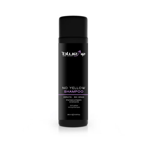 Blue Up color no yellow shampoo antigiallo 250 ML